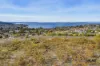 33 Bluebush Crescent, Blackmans Bay, Tas 7052-Image