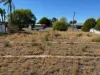 33 Boland Drive, Moree, NSW 2400