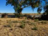 33 Boland Drive, Moree, NSW 2400-Image