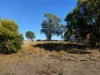 33 Boland Drive, Moree, NSW 2400-Image