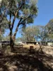 33 Bowen Street, Mudgee, NSW 2850-Image