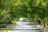 33 Brisbane Street, Berwick, Vic 3806-Image