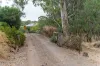 33 Cut Hill Road, Kangarilla, SA 5157-Image