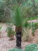 33 Cut Hill Road, Kangarilla, SA 5157-Image