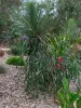 33 Cut Hill Road, Kangarilla, SA 5157-Image