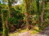 33 Keith Crescent, Smiths Lake, NSW 2428