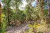 33 Keith Crescent, Smiths Lake, NSW 2428-Image