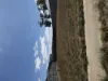 33 Kurrajong Road, Warragul, Vic 3820-Image