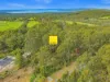 33 Mill Place, Shadforth, WA 6333-Image