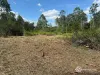 33 NEW CHUM ROAD, Dinmore, Qld 4303-Image