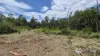 33 NEW CHUM ROAD, Dinmore, Qld 4303-Image
