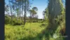 33 NEW CHUM ROAD, Dinmore, Qld 4303-Image