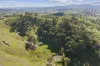 330 Royaltown Road, Maindample, Vic 3723-Image