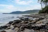 334 Blowhole Road, Eaglehawk Neck, Tas 7179-Image
