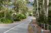 334 Blowhole Road, Eaglehawk Neck, Tas 7179-Image