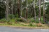 334 Blowhole Road, Eaglehawk Neck, Tas 7179-Image
