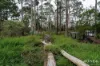 334 Blowhole Road, Eaglehawk Neck, Tas 7179-Image