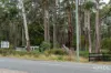 334 Blowhole Road, Eaglehawk Neck, Tas 7179-Image