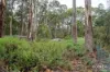334 Blowhole Road, Eaglehawk Neck, Tas 7179-Image