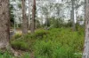 334 Blowhole Road, Eaglehawk Neck, Tas 7179-Image