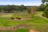 334 Petersham Road, Leeton, NSW 2705-Image