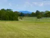 34 & 36 Pedersen St, Welshpool, Vic 3966-Image