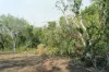 34 Balanda Drive, Dundee Beach, NT 0840-Image