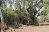 34 Balanda Drive, Dundee Beach, NT 0840-Image