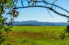 34 Bencluna Lane, Eureka, NSW 2480-Image