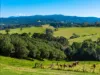34 Bencluna Lane, Eureka, NSW 2480-Image