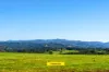 34 Bencluna Lane, Eureka, NSW 2480-Image