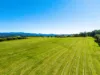 34 Bencluna Lane, Eureka, NSW 2480-Image