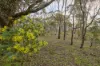 34 Brennan Road, Heathcote, Vic 3523-Image