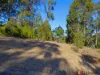 34 Carramar Drive, Lilli Pilli, NSW 2536-Image