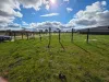 34 Dulcis Street, Manor Lakes, Vic 3024-Image
