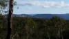 34 Maple Grove, Wentworth Falls, NSW 2782-Image