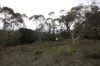 34 Maple Grove, Wentworth Falls, NSW 2782-Image
