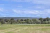 34 Moondyne Ridge, Kudardup, WA 6290-Image