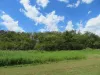 34 Tower Street, Chillagoe, Qld 4871-Image
