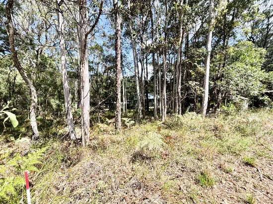34 Waikiki Beach Road, Russell Island, Qld 4184 - For Sale