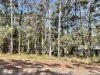 34 Waikiki Beach Road, Russell Island, Qld 4184-Image