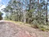 34 Waikiki Beach Road, Russell Island, Qld 4184-Image