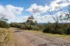 34  Winding Way, Belair, SA 5052-Image