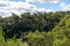 34  Winding Way, Belair, SA 5052-Image