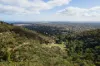 34  Winding Way, Belair, SA 5052-Image