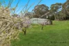 34 Wynyard Avenue, Littlehampton, SA 5250-Image
