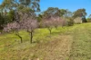 34 Wynyard Avenue, Littlehampton, SA 5250-Image