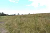 342 Mungar Road, Yengarie, Qld 4650-Image