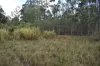 342 Mungar Road, Yengarie, Qld 4650-Image