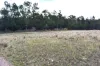 342 Mungar Road, Yengarie, Qld 4650-Image